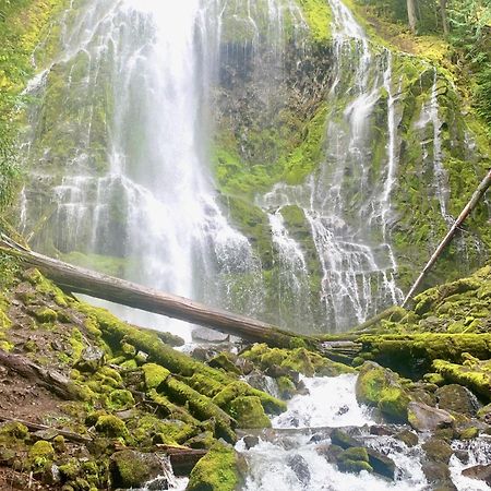 Mckenzie River Mountain Resort Blue River Buitenkant foto