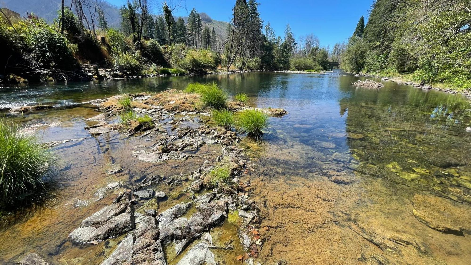 Mckenzie River Mountain Resort Blue River Buitenkant foto