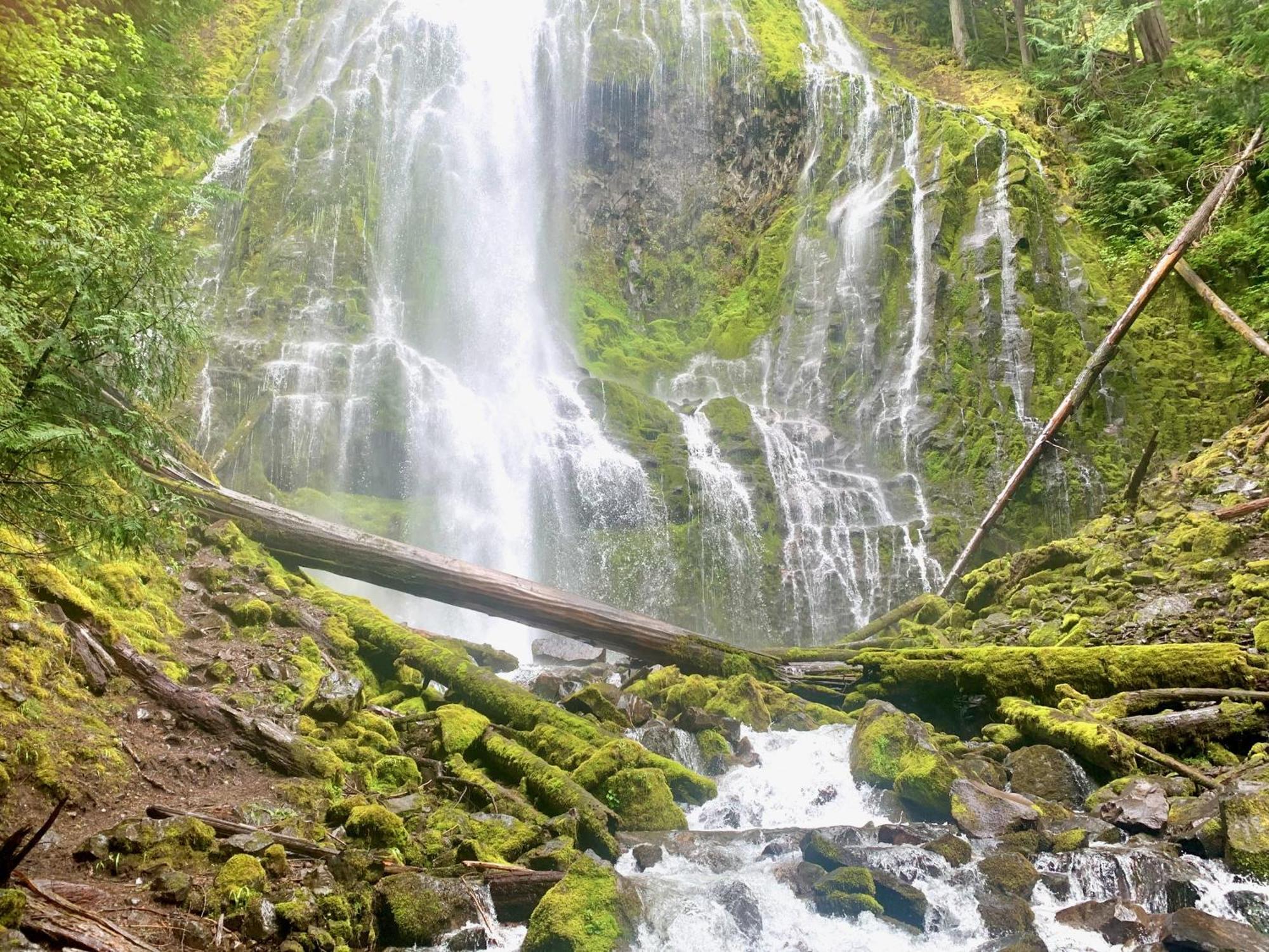 Mckenzie River Mountain Resort Blue River Buitenkant foto