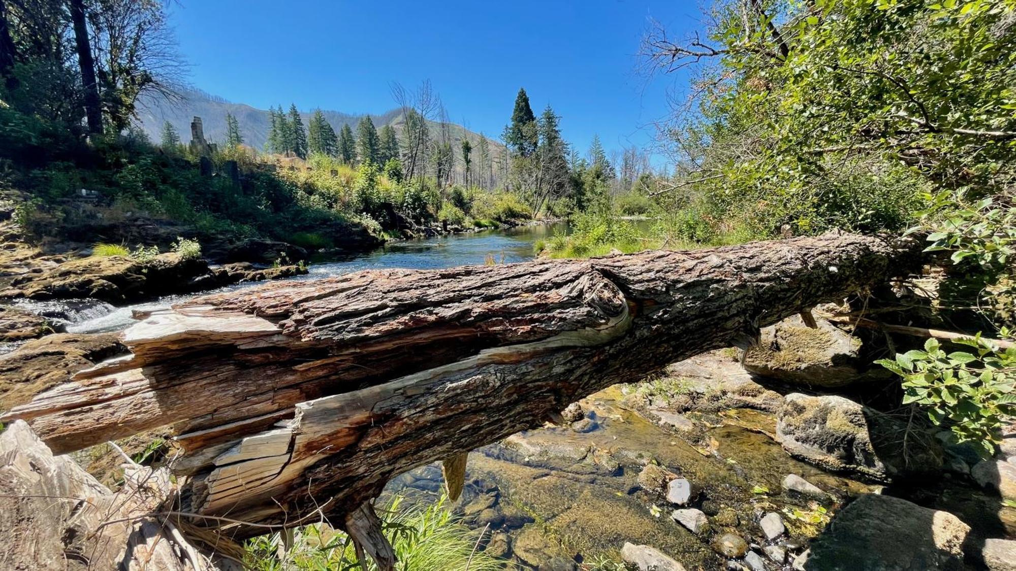 Mckenzie River Mountain Resort Blue River Buitenkant foto